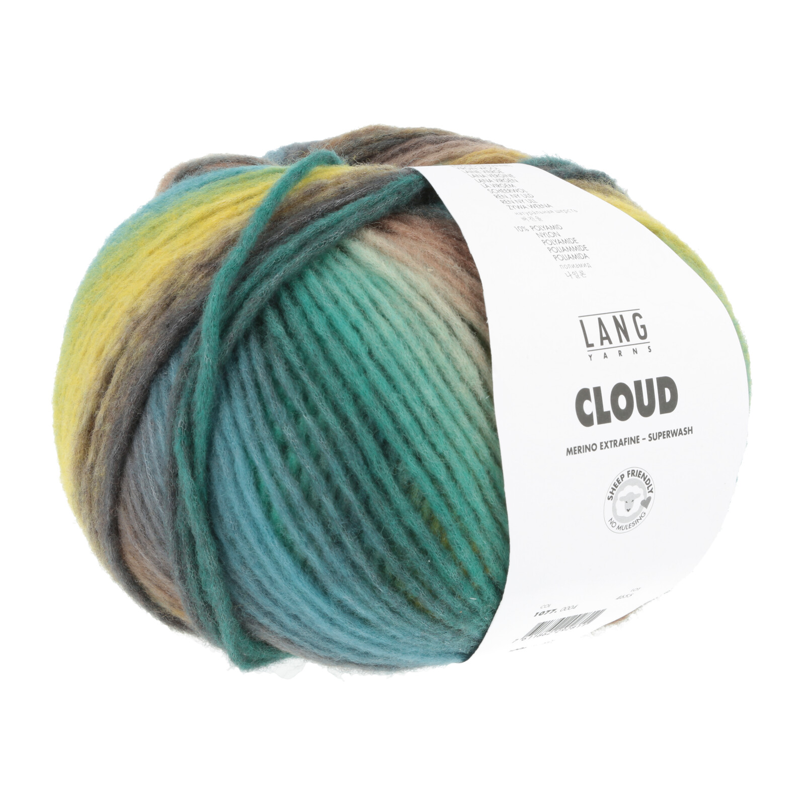1077.0004 - CLOUD