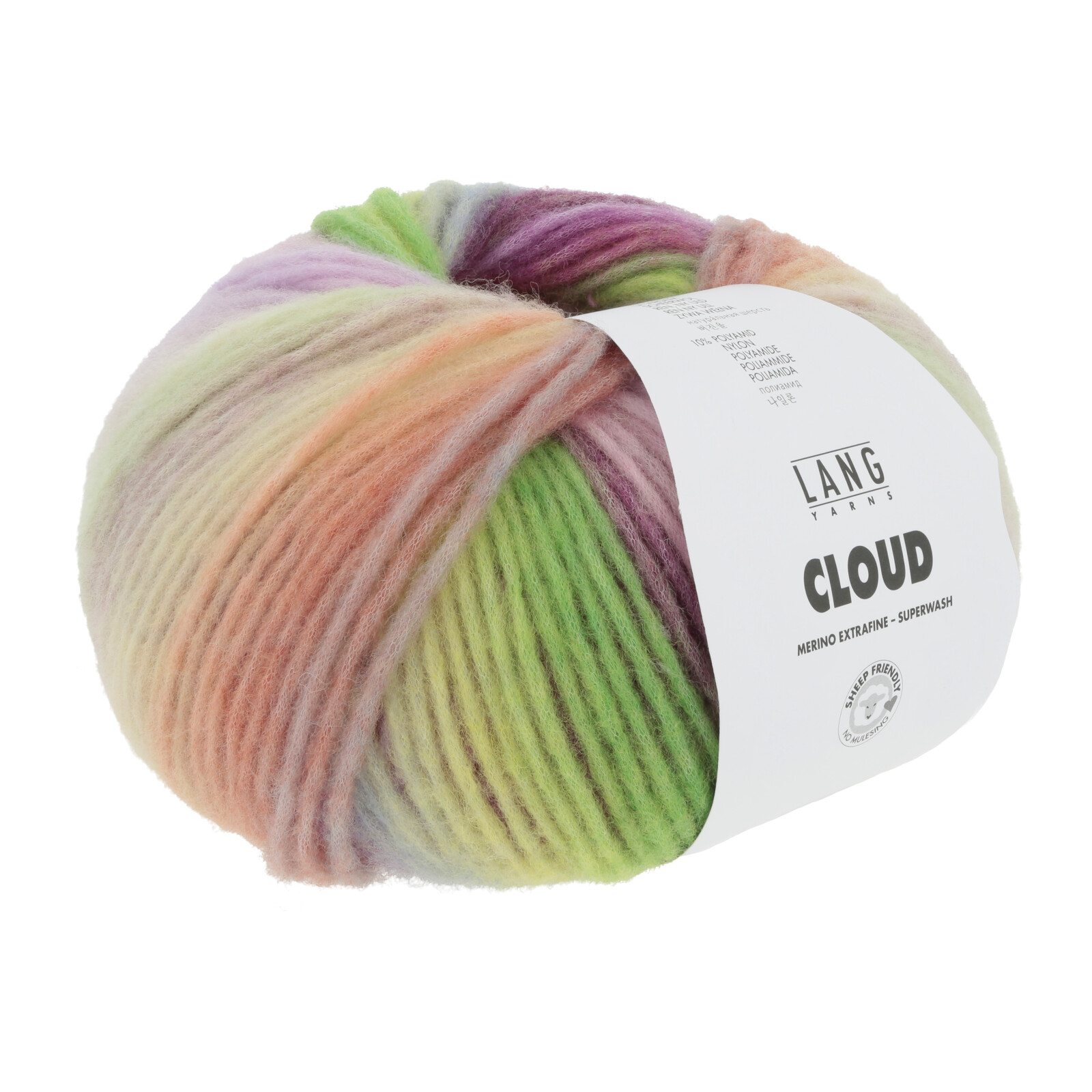 1077.0009 - CLOUD