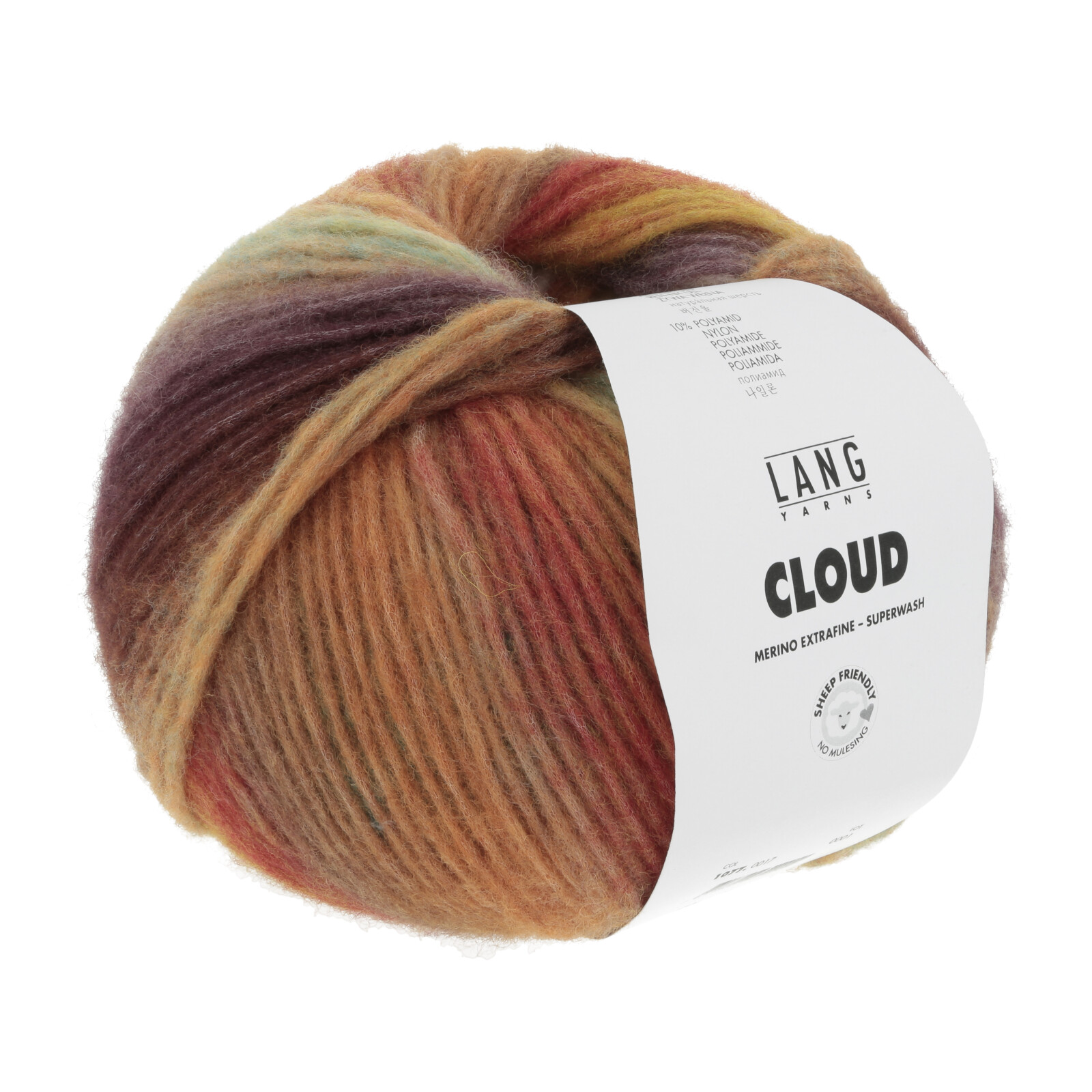 1077.0017 - CLOUD