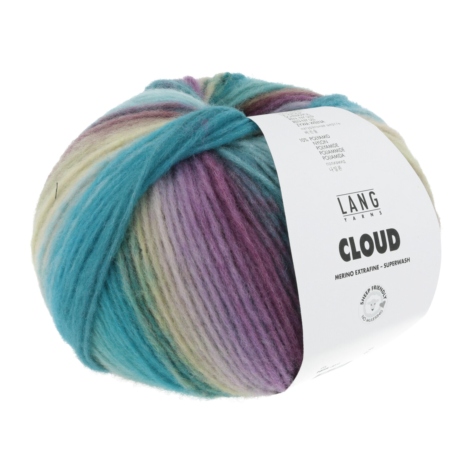 1077.0019 - CLOUD