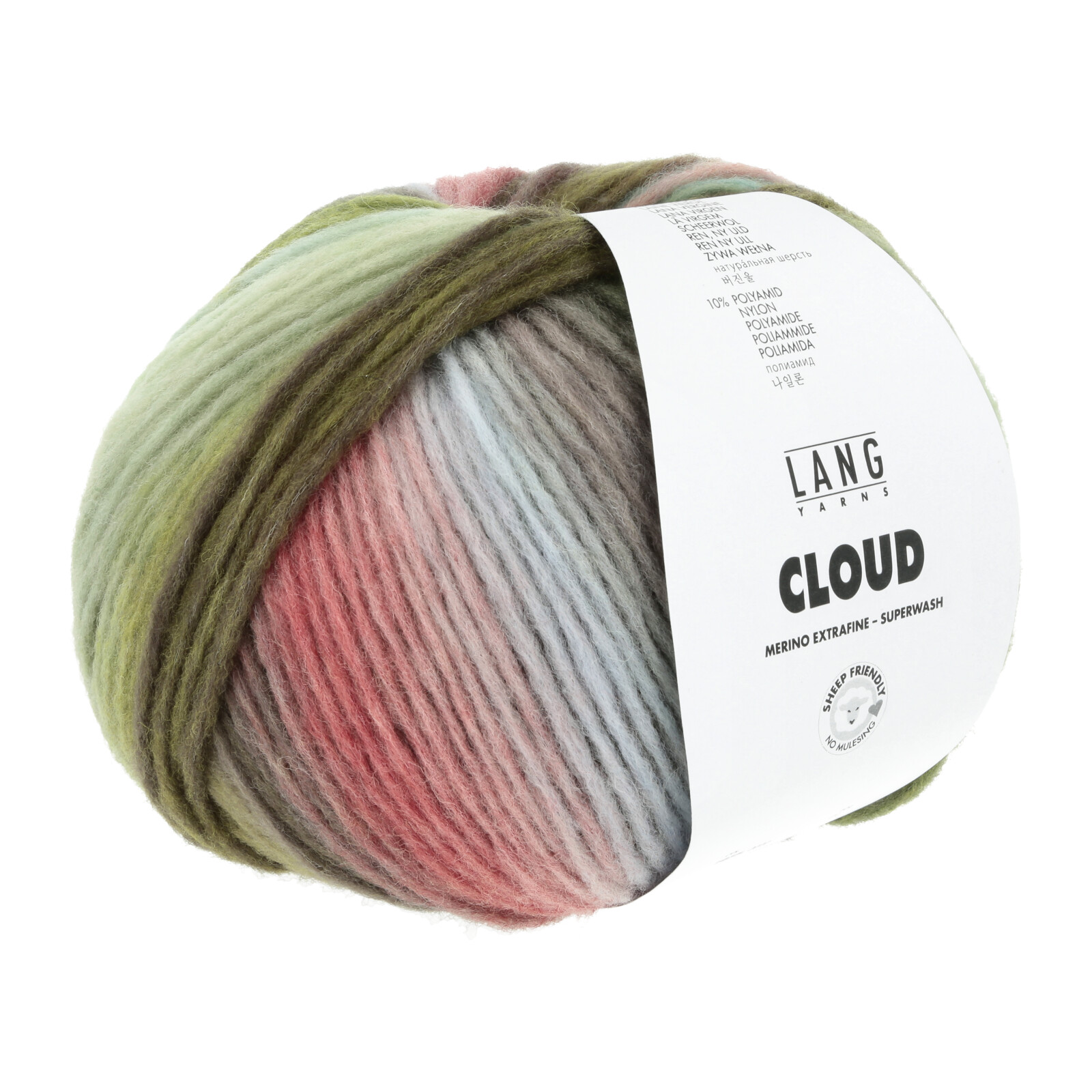 1077.0020 - CLOUD