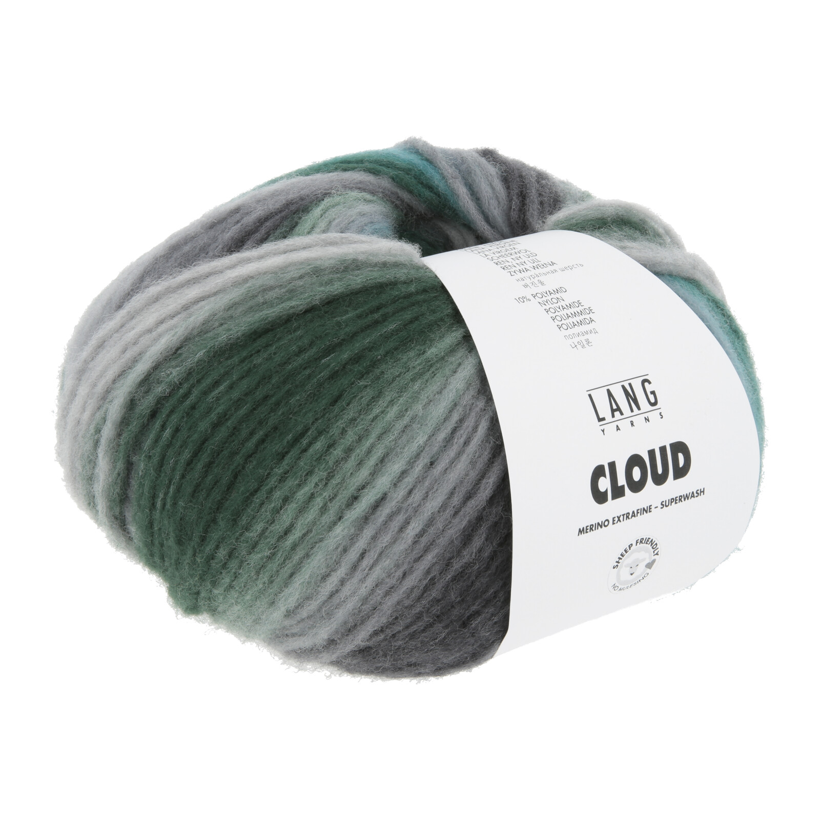 1077.0030 - CLOUD