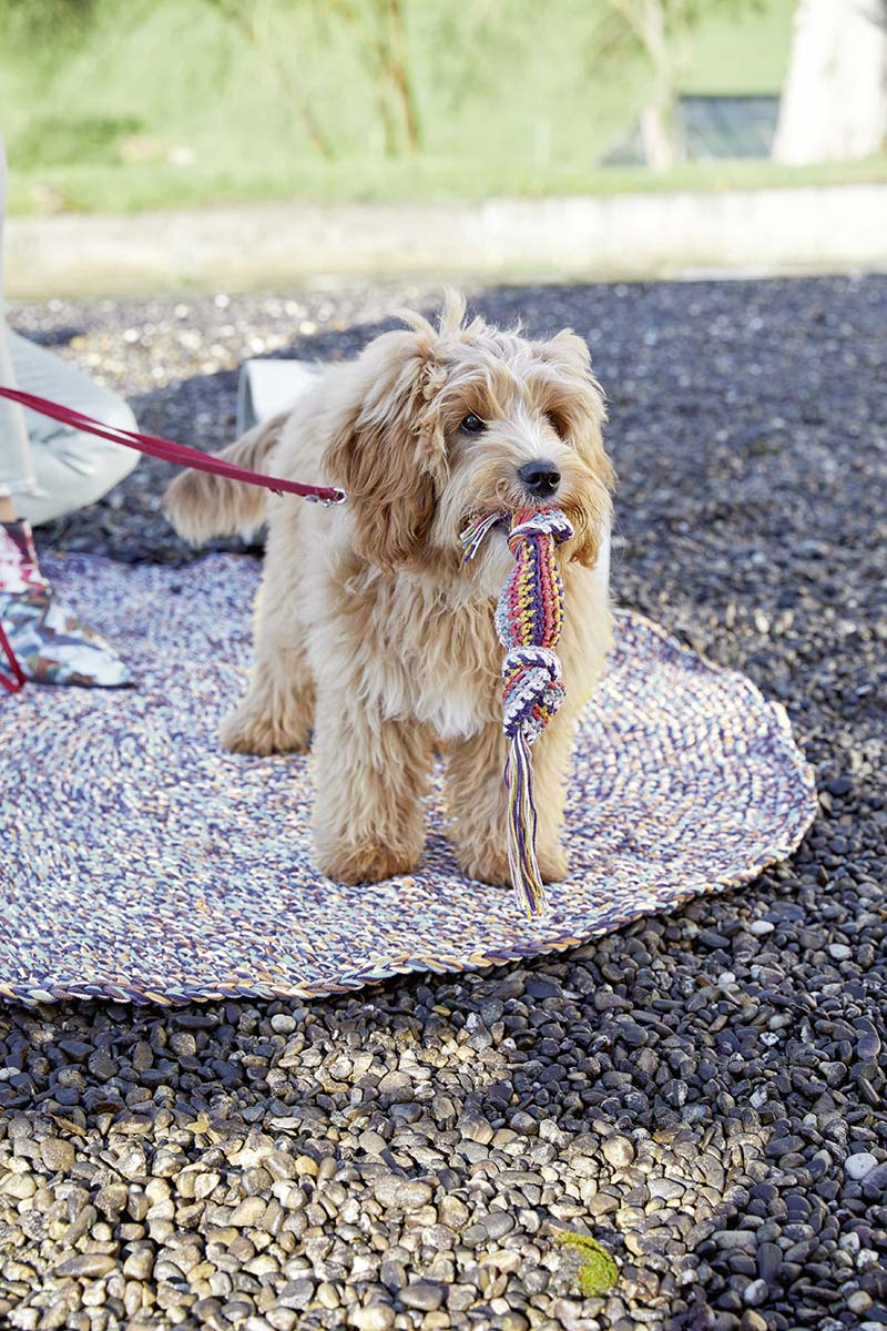 Hundespielzeug